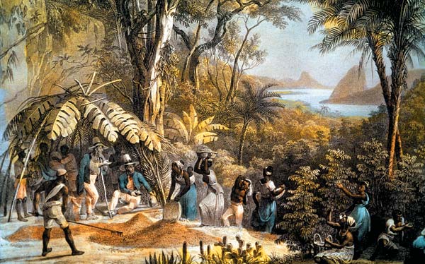 Индонезийская история о Копи Лювак